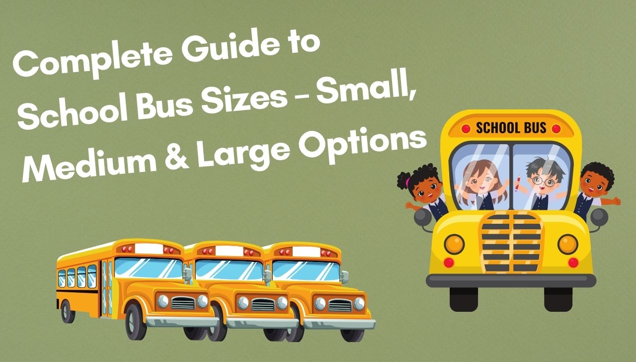Complete Guide to School Bus Sizes – Small, Medium & Large Options