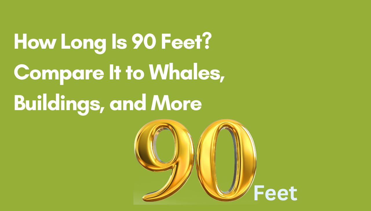 How Long Is 90 Feet? Compare It to Whales, Buildings, and More