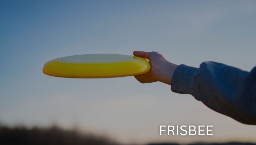 Frisbee