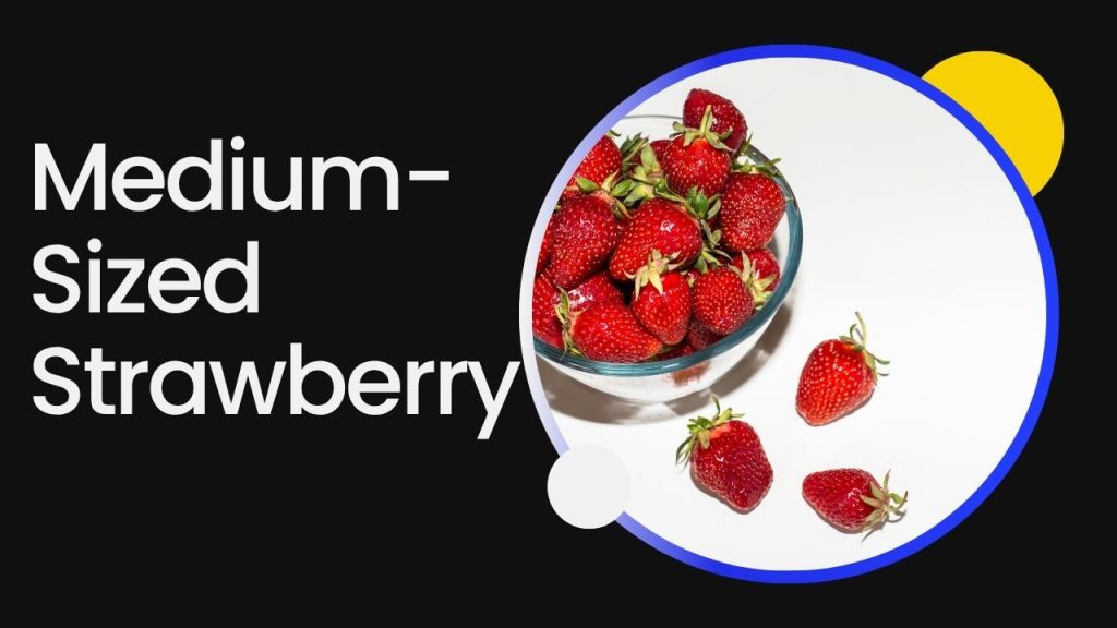 Medium-Sized Strawberry