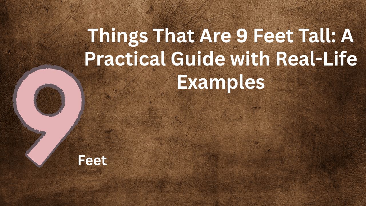 Things That Are 9 Feet Tall: A Practical Guide with Real-Life Examples